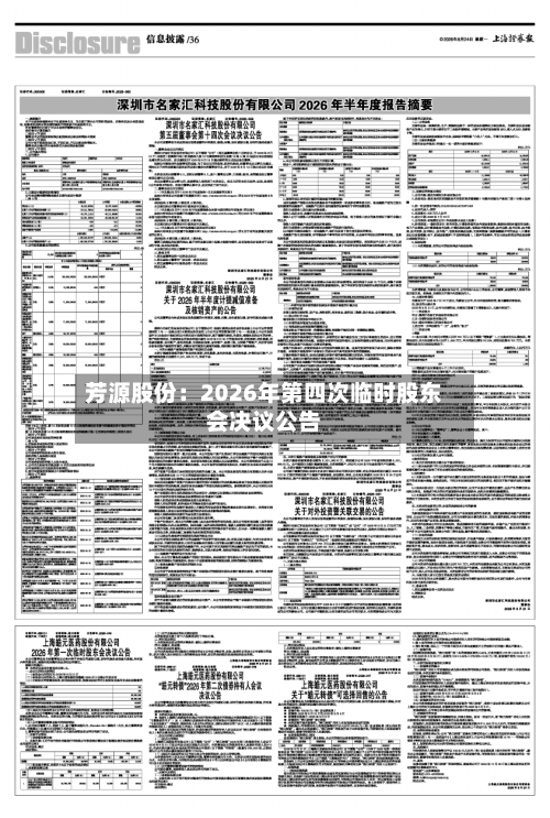 芳源股份:2026年第四次临时股东会决议公告