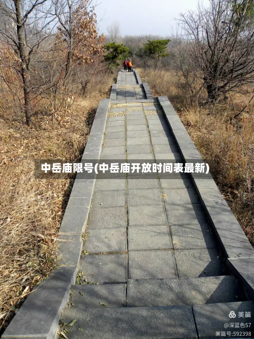 中岳庙限号(中岳庙开放时间表最新)-第2张图片