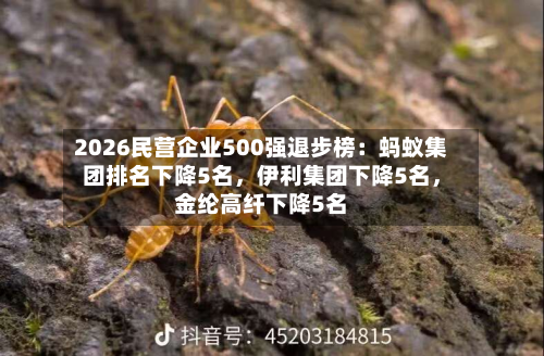 2026民营企业500强退步榜:蚂蚁集团排名下降5名,伊利集团下降5名,金纶高纤下降5名