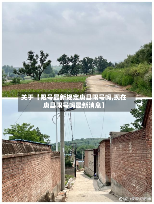 关于【限号最新规定唐县限号吗,现在唐县限号吗最新消息】-第3张图片