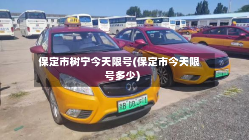 保定市树宁今天限号(保定市今天限号多少)