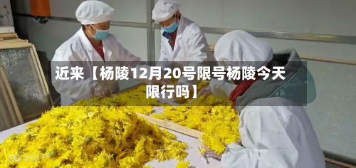 近来【杨陵12月20号限号杨陵今天限行吗】-第3张图片