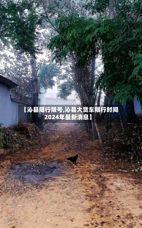 【沁县限行限号,沁县大货车限行时间2024年最新消息】
