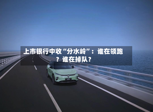 上市银行中收“分水岭”:谁在领跑?谁在掉队?