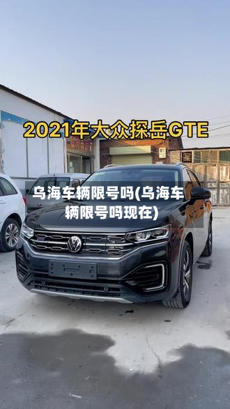 乌海车辆限号吗(乌海车辆限号吗现在)