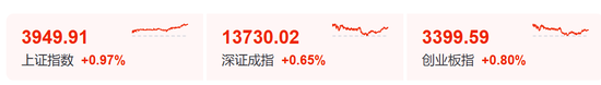 “小作文	”，引发的大涨！